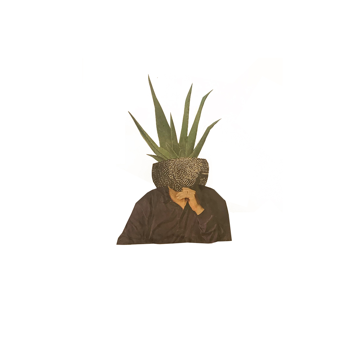 ananas1