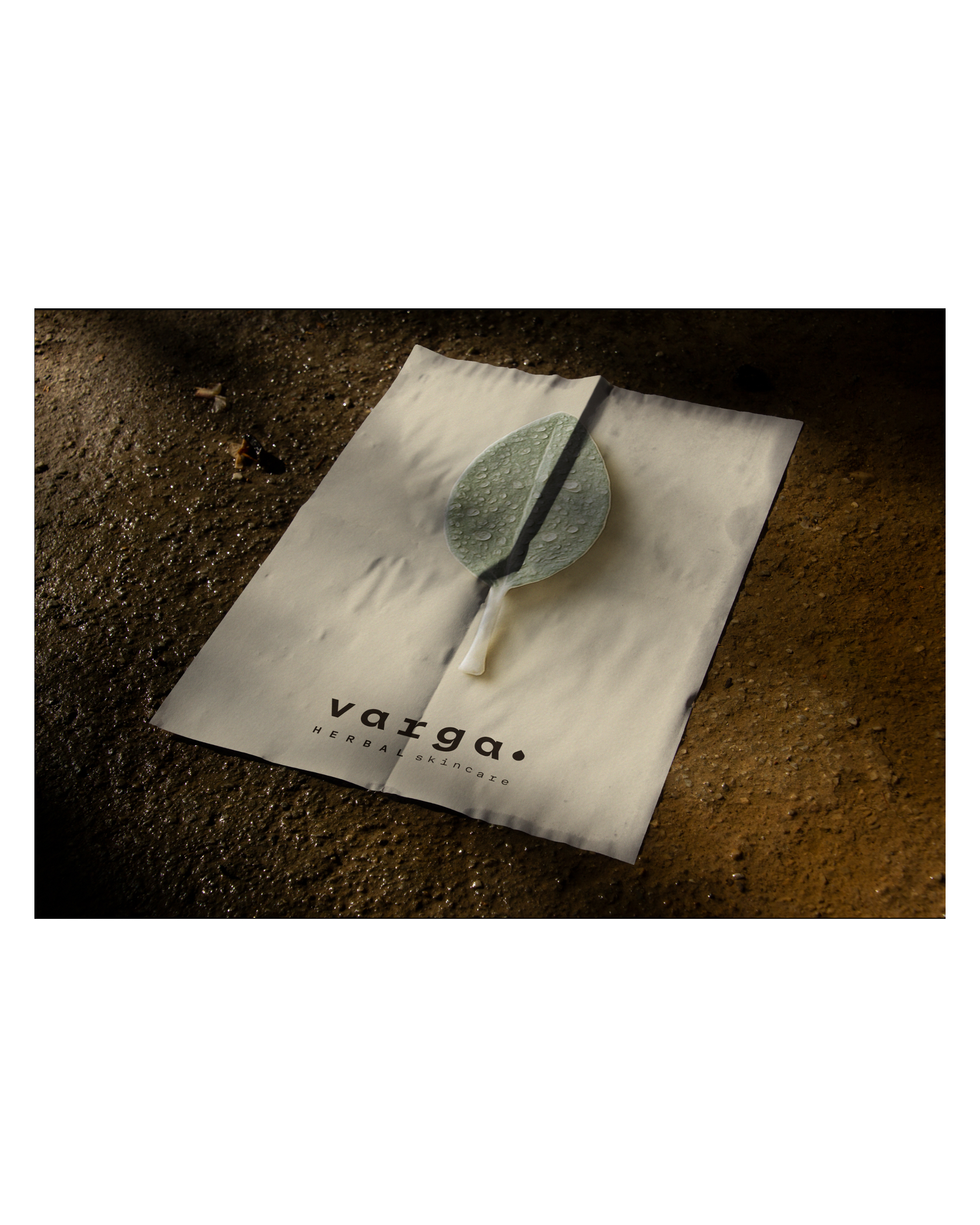 varga_8